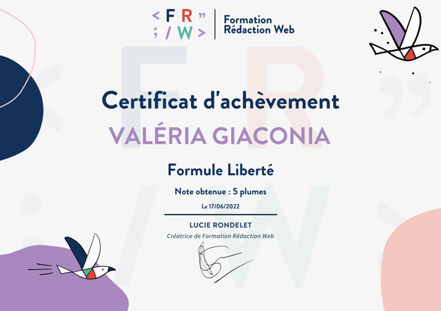 formation rédaction web seo